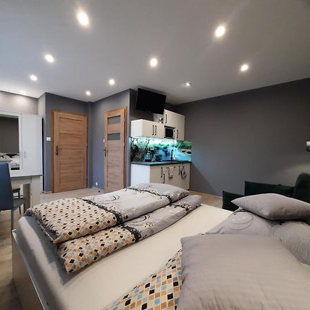 Apartamenty Pokoje Lawenda ヴィスワ エクステリア 写真