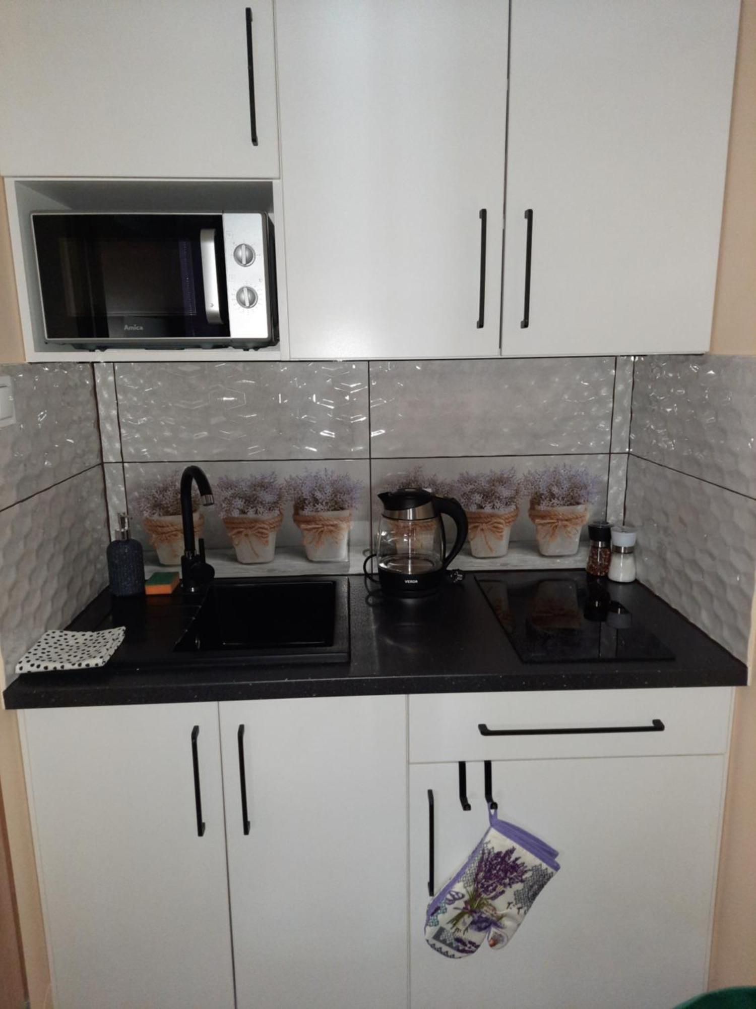 Apartamenty Pokoje Lawenda ヴィスワ エクステリア 写真