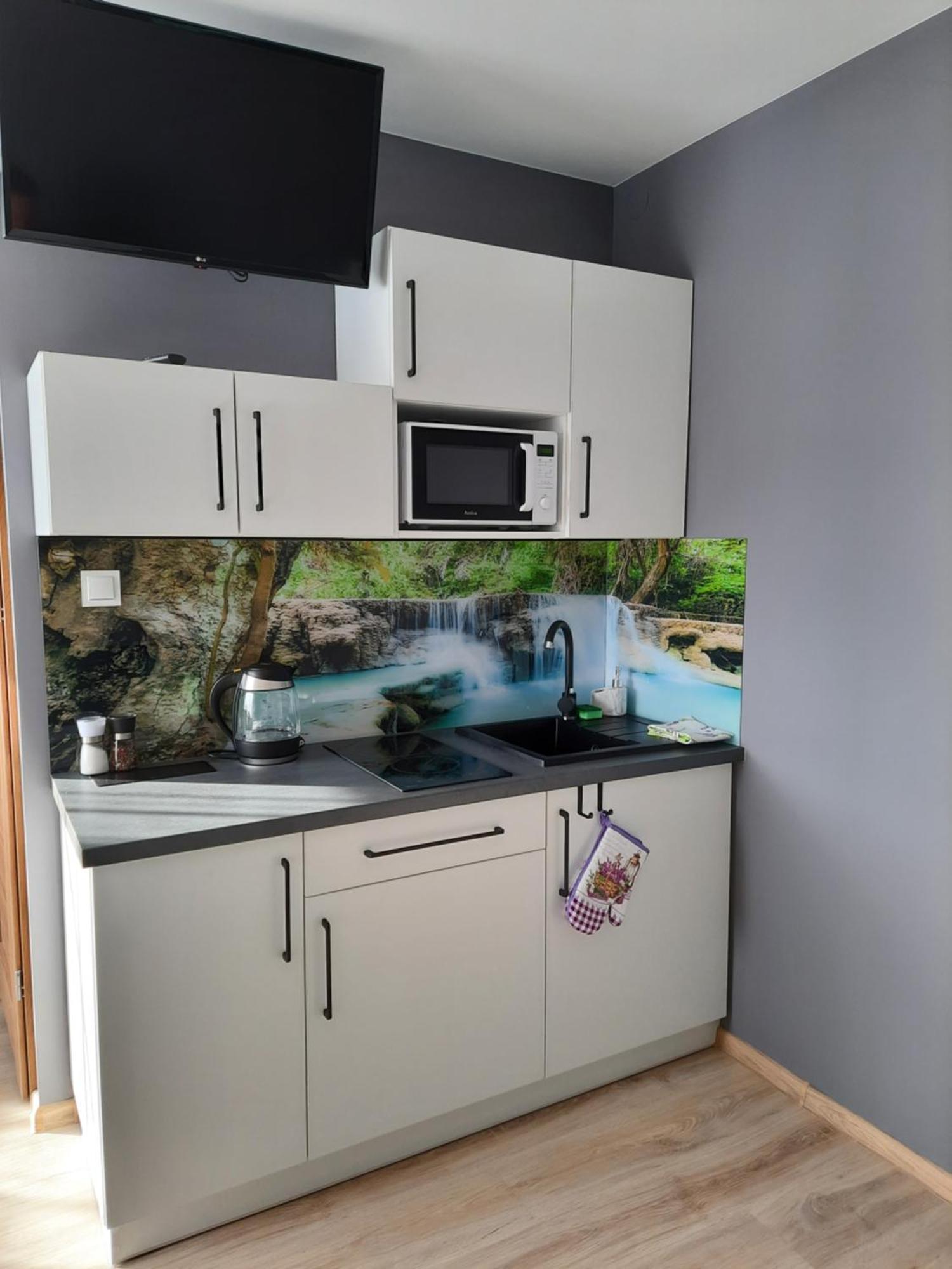 Apartamenty Pokoje Lawenda ヴィスワ エクステリア 写真